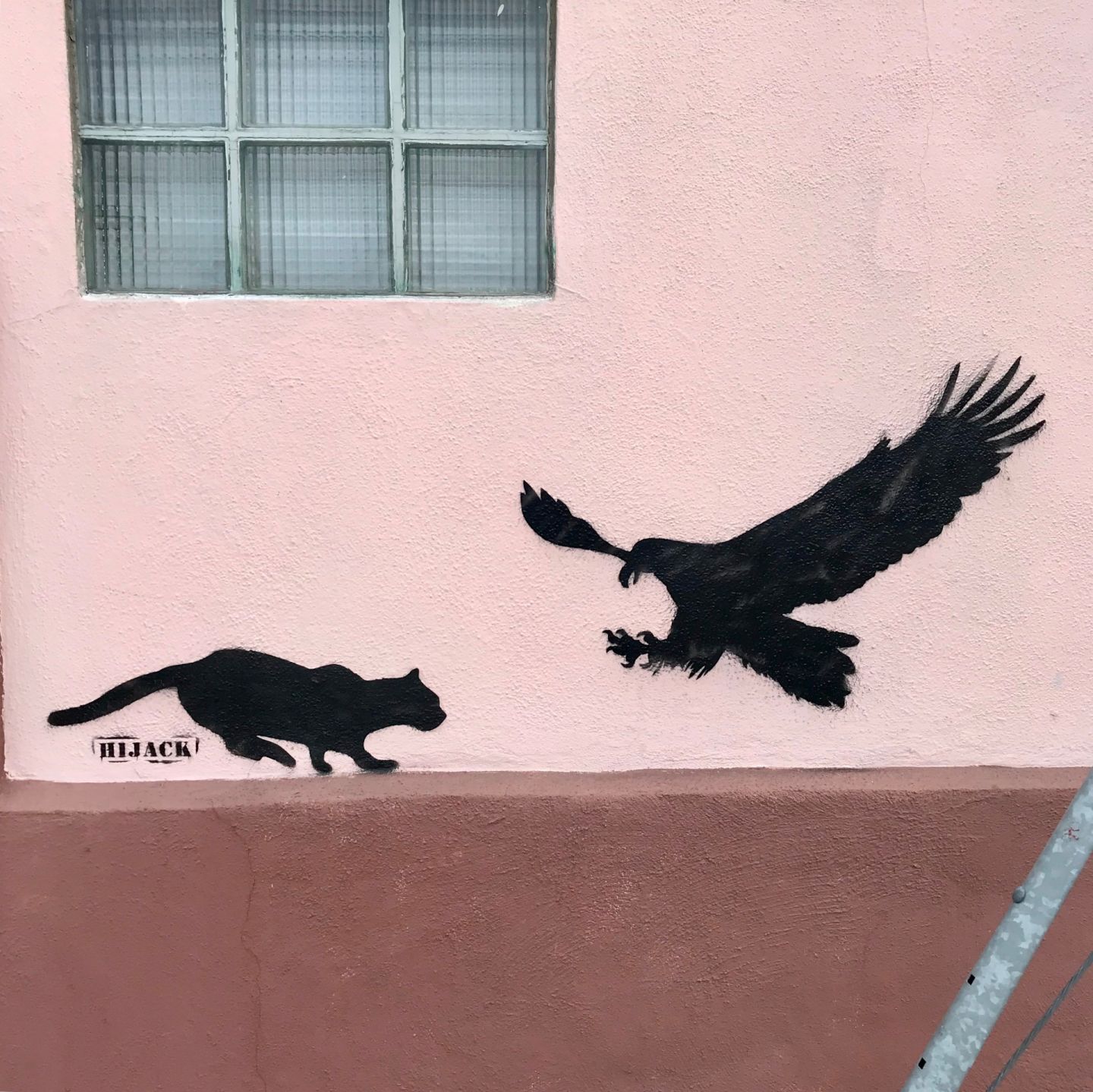 Raptor and prey